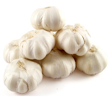 Fresh Garlic